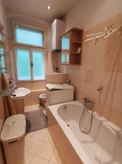 Appartement Ubytovani Ester - Utulny Byt V Lazenskem Centru Karlovych Varu Se Zahradkou à Karlovy Vary Extérieur photo