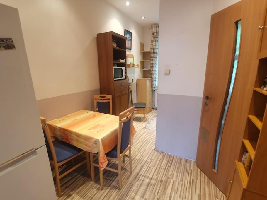 Appartement Ubytovani Ester - Utulny Byt V Lazenskem Centru Karlovych Varu Se Zahradkou à Karlovy Vary Extérieur photo