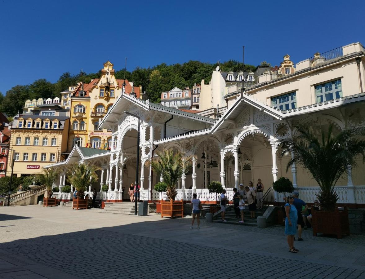 Appartement Ubytovani Ester - Utulny Byt V Lazenskem Centru Karlovych Varu Se Zahradkou à Karlovy Vary Extérieur photo