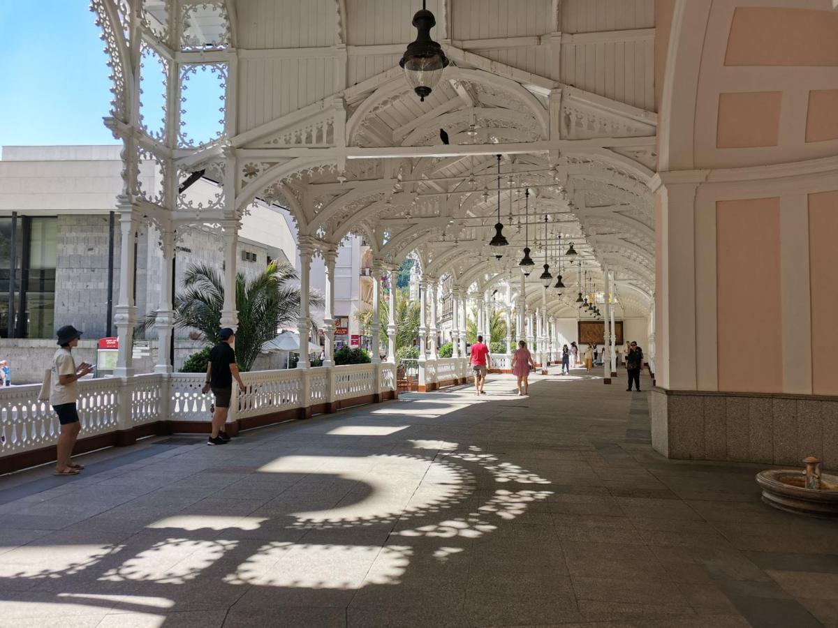 Appartement Ubytovani Ester - Utulny Byt V Lazenskem Centru Karlovych Varu Se Zahradkou à Karlovy Vary Extérieur photo
